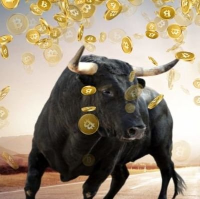 HakanDe22951435's profile picture. Trading ❤️😊