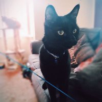 Carrie K (@carriekilk) 's Twitter Profile