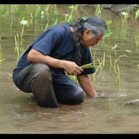 Paul Takehiro (@kalatakehiro) 's Twitter Profile