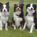 Lyn Collins - @CollinsLyn - Twitter