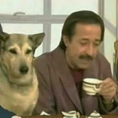 SeniorRaisinFan's profile picture. Bio? more like Biology 🤝 he/him
 20years!! Old!!!!

(not a bot, I like to retweet cool art I find)

    *crazy joker account*