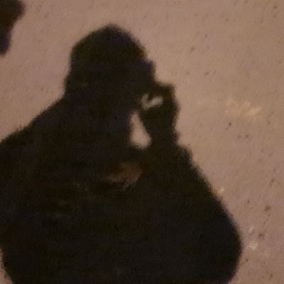 مقتصد مردی شعر دوست و تن پرور که از کراماتش همین بس که گاهی از در دروازه رد نمی شد و گاهی از سوراخ سوزنی می شد رد