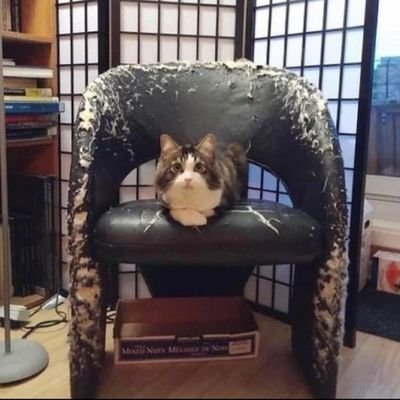 DidntThinkAhead's profile picture. A tired dude