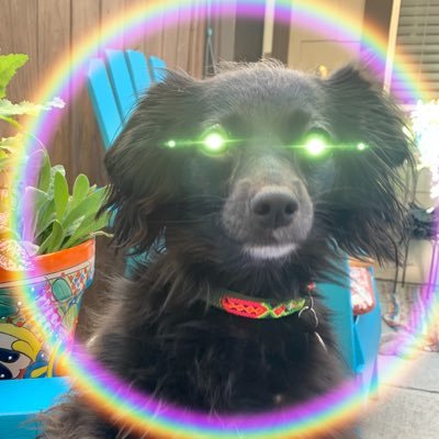Here to get different perspectives on what’s happening in the world as an open minded skeptic. not interested in all the ho-bots do not DM me! Pronouns AS-IS 👈