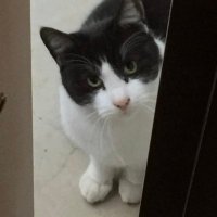 【ALF】RYU【そして伝説へ】 (@alfryupos) 's Twitter Profile Photo 【ALF】RYU【そして伝説へ】 (@alfryupos) 's Twitter Profile Photo