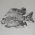 Alex (@i_print_fish) Twitter profile photo Alex (@i_print_fish) Twitter profile photo