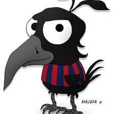 Roloces's profile picture. Cuervo desde antes de estar en la cuna, 
VIEJO: fuiste a hacer grande el cielo como grande hiciste mi sentimiento, gracias.