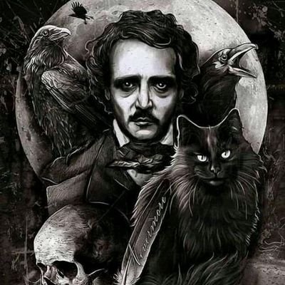shogundbystanda's profile picture. Capricorn ♑