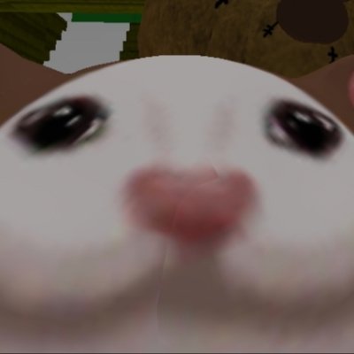 Pop Cat Roblox