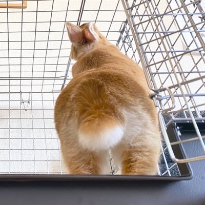 paradoxx77_'s profile picture. 