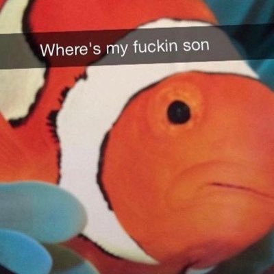 iinyourbasement's profile picture. 