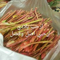 عدنان اليمن محافظة صنعاء (@ftygu14) 's Twitter Profile