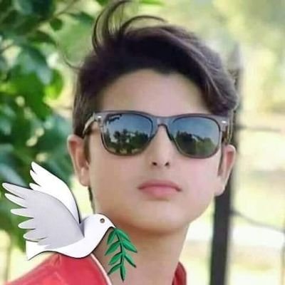 IBHKj2AvgAqjsEQ's profile picture. 