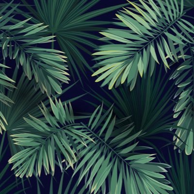 bobbygrown21's profile picture. 