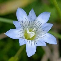 🌲🏕️🏞️🍨⚽Asatton_Xsd🌸🌾🌳🌄🍡🍰 (@asattonx) 's Twitter Profile