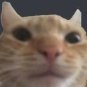 Tuna_walking's profile picture. Rt