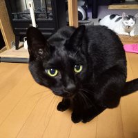 K2K2SS (@k2k2ss1) Twitter profile photo