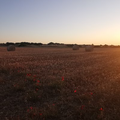 pdimarzophoto's profile picture. Wildlife, Landscape to Urban #freelance #photography #landscape