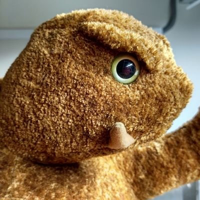 トトガメさんのプロフィール画像
