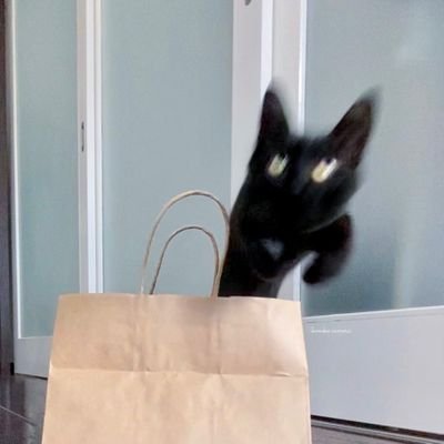 isanycommuthere's profile picture. 