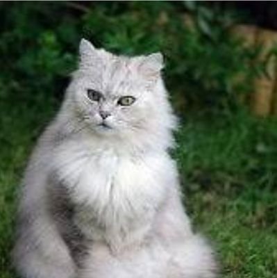 ff_cc7's profile picture. 21 and alive