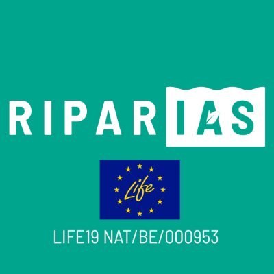 LIFE RIPARIAS is a #LIFEproject that brings together Belgian authorities and citizens to manage #InvasiveAlienSpecies in river areas and ponds across borders.