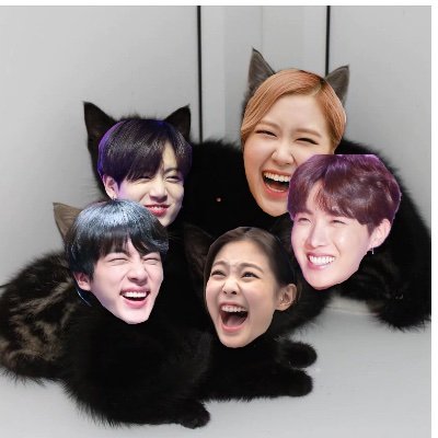 Not a shipping account
Just in love with the three scary cats (Jennie, Jin, J-Hope) and two holy-voice angels (Rosé and Jkookie)