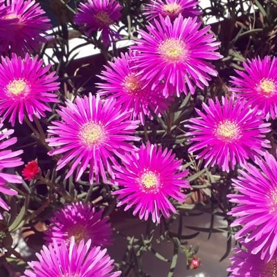 englii5's profile picture. 