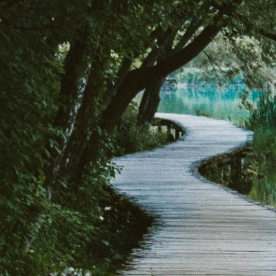 VitaliveNL's profile picture. You Are What You Feed Your Body 🌱
You Become What You Feed Your Mind 💭