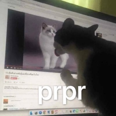 prprholic's profile picture. 发骚日常碎碎念，不爱聊天