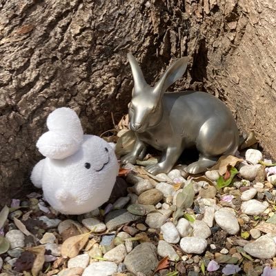むがさんのプロフィール画像