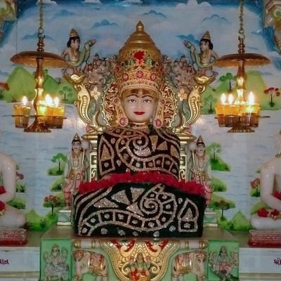 niravjulieshah's profile picture. B+