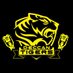Deccan Tigers (@hydfcyouthfc) Twitter profile photo