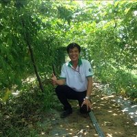 Rowley Germain ❤️ Memecoin (@germainrowley) 's Twitter Profile