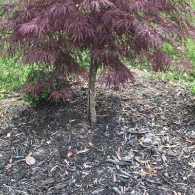 bruce74255589's profile picture. I like my coffee black and  my liquor straight.