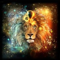 The lione (@rt_4g) 's Twitter Profile