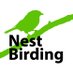 NestBirding (@NestBirding) Twitter profile photo