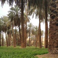 مسوق عقاري الرياض (@ah6md6) 's Twitter Profile