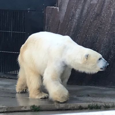 0326Schlussel's profile picture. 嫌なものは嫌だと言える日が来ることを願ってます