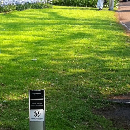 docmerven's profile picture. 