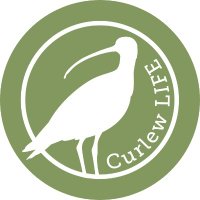 Curlews in crisis(@CurlewLIFE) 's Twitter Profile Photo