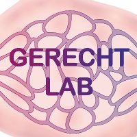 Gerecht Lab(@GerechtLab) 's Twitter Profile Photo