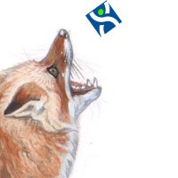 Fantrax Fox (@fantraxfox) 's Twitter Profile Photo Fantrax Fox (@fantraxfox) 's Twitter Profile Photo