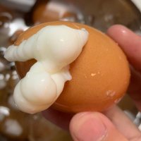 ハシモトです (@atsunoreeeee) Twitter profile photo