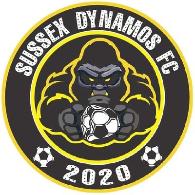 2nd team starting next season in sussex sunday league