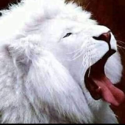 Mkb07224314's profile picture. Server of the most high.