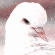 ActuallyRonics's profile picture. Im this one https://t.co/nL0P8v1GrX dude. 
#1 Religious point player.