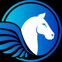 Pegasus Network (@pegasuspgs) 's Twitter Profile