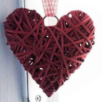 neekola7's profile picture. 