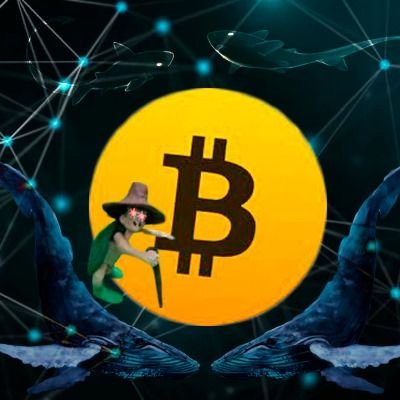 Pedro_A_nery's profile picture. #BTC - WEB 3 - $DOG  - #DEGEN
